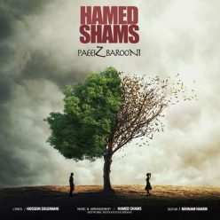 Hamed Shams  –  Paeiz Barooni